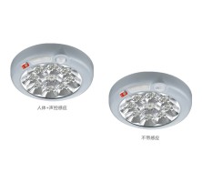小号圆形吸顶灯